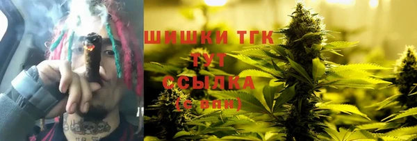 амф Новодвинск