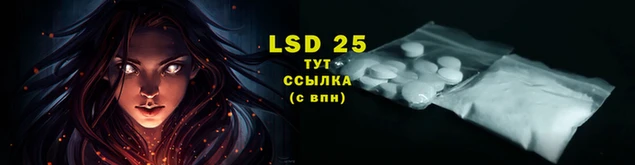 винт Новозыбков