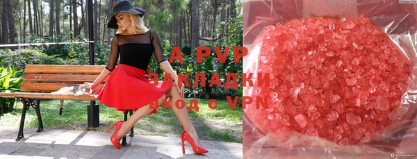 амф Новодвинск