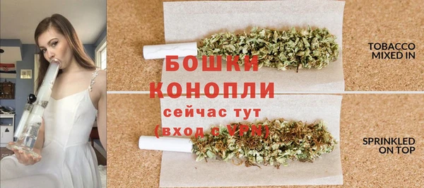 амф Новодвинск