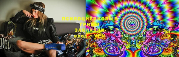 амф Новодвинск