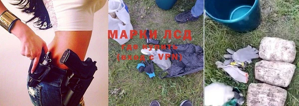 амф Новодвинск
