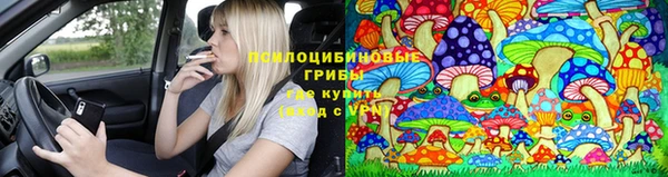винт Новозыбков