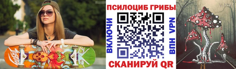 Галлюциногенные грибы Psilocybe  OMG ТОР  Рыбное 